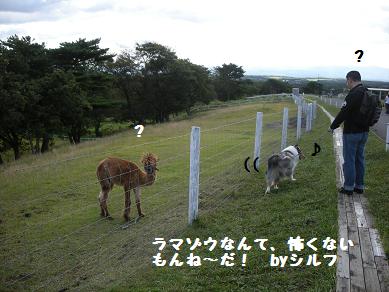 f0081100_19453372.jpg