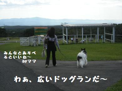 f0081100_1946399.jpg