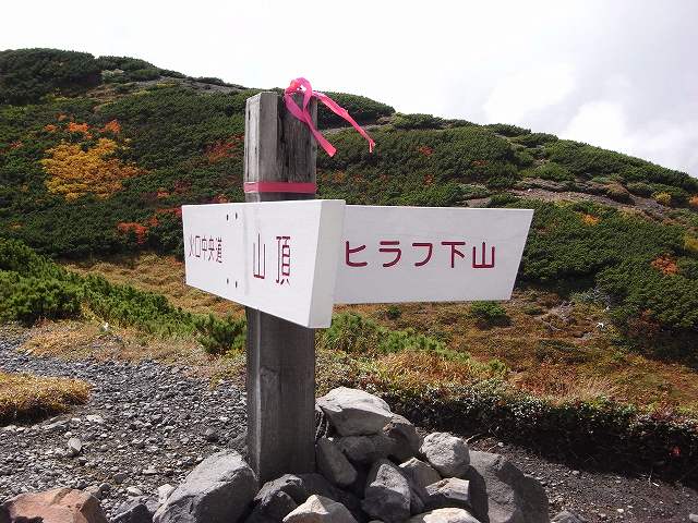 f0157901_21224992.jpg