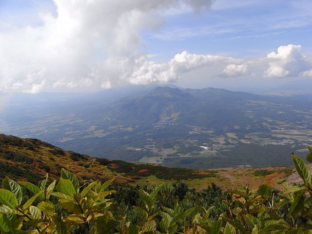 f0157901_21232846.jpg