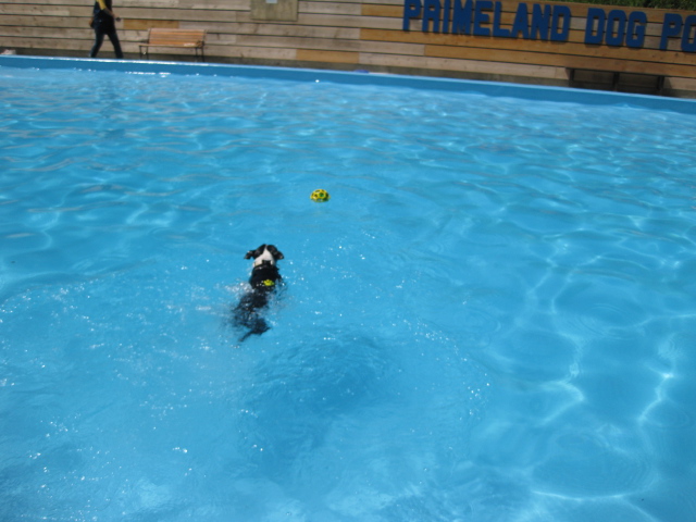 d0070702_4284537.jpg