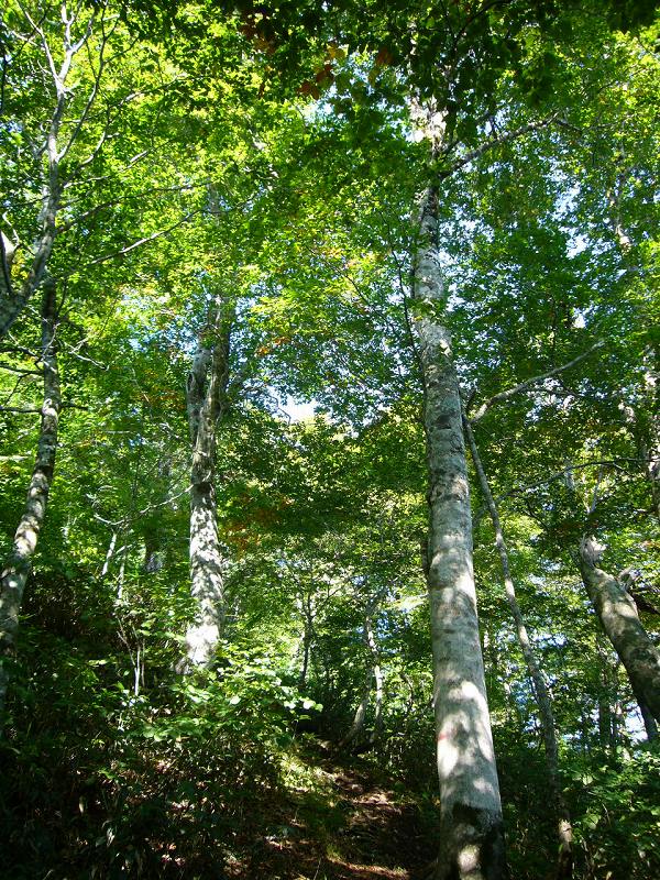 b0050305_243087.jpg