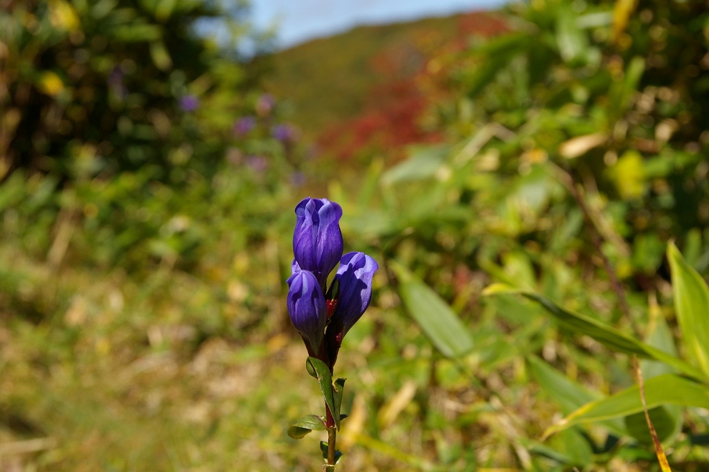 b0050305_2434291.jpg