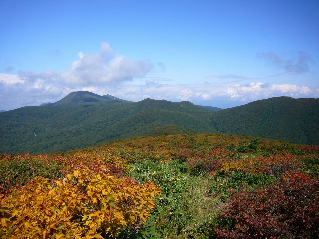 b0050305_250326.jpg