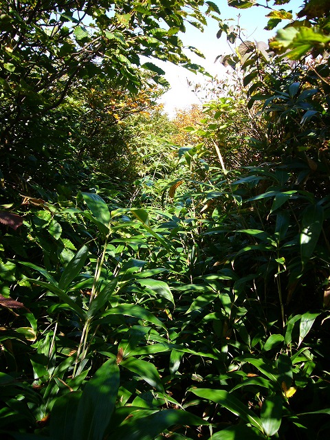b0050305_252364.jpg