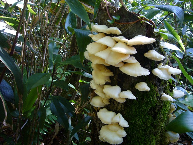 b0050305_256167.jpg