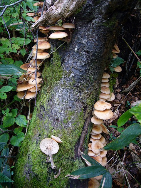 b0050305_2584162.jpg