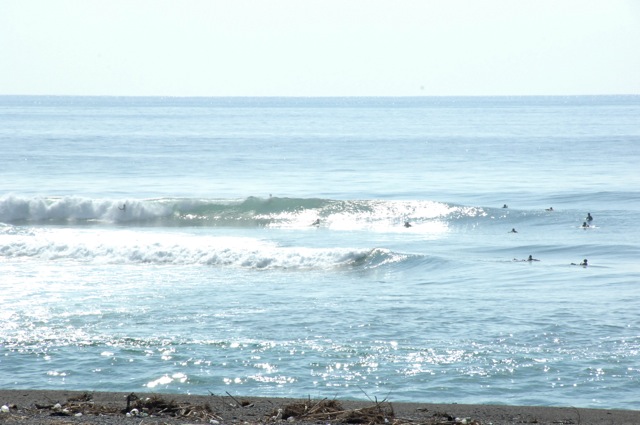 f0116314_2044065.jpg