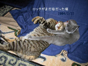 e0156015_15511734.jpg