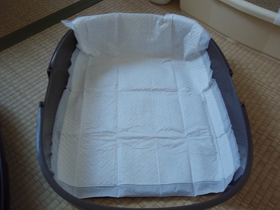 c0145016_21123166.jpg