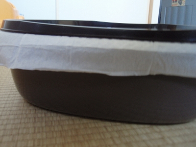 c0145016_21124279.jpg