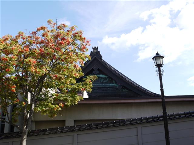 b0171523_15355549.jpg
