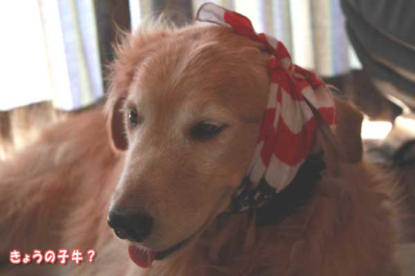 f0203423_16285879.jpg