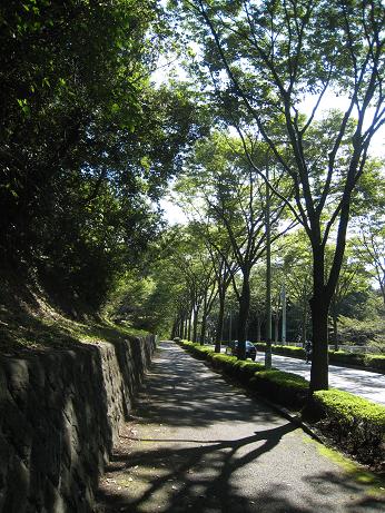 f0166824_1375878.jpg