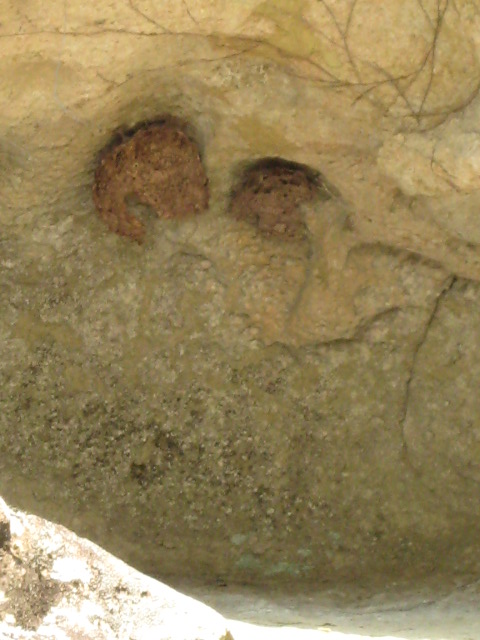 d0147727_19265844.jpg