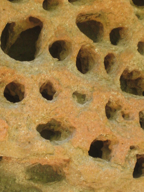 d0147727_19271796.jpg