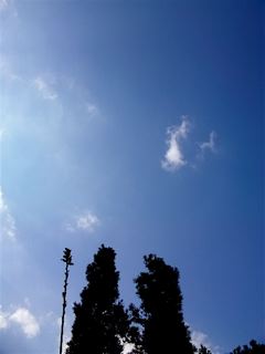 c0199728_23453292.jpg