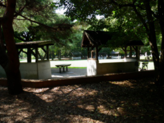 c0003830_610679.jpg