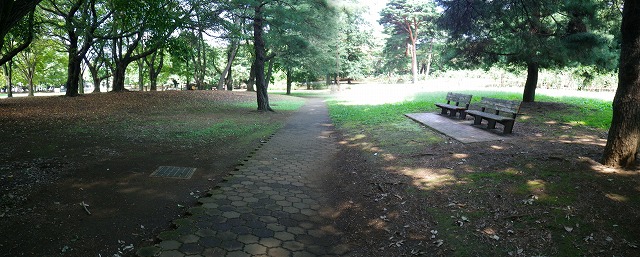 c0003830_684094.jpg
