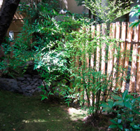 d0033734_13411133.jpg