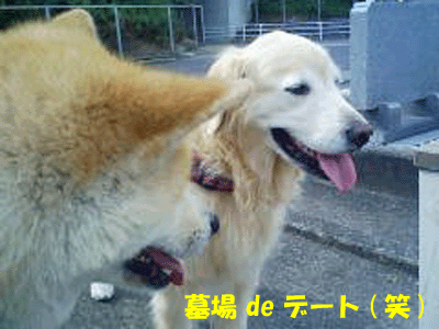 f0008935_76162.gif