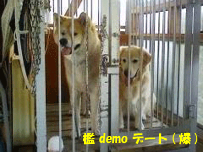 f0008935_77371.gif