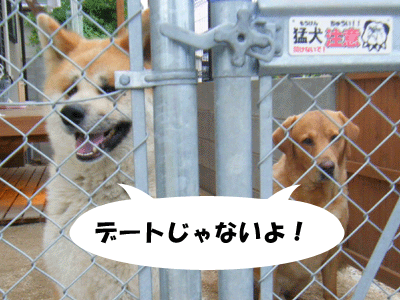 f0008935_8393028.gif