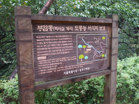 e0081339_22491159.jpg