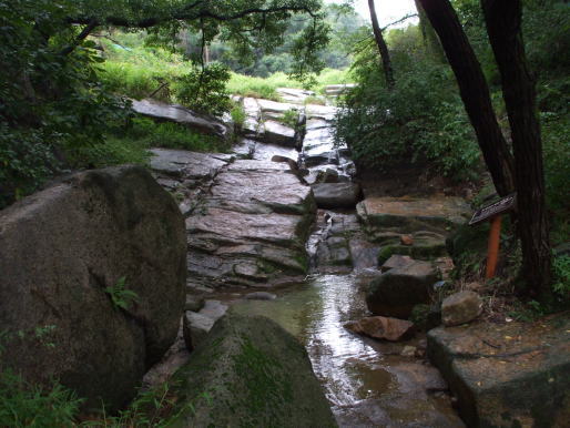 e0081339_2249447.jpg