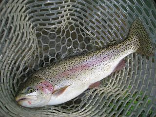 f0065341_13132069.jpg