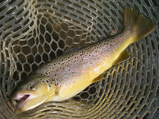 f0065341_1314650.jpg