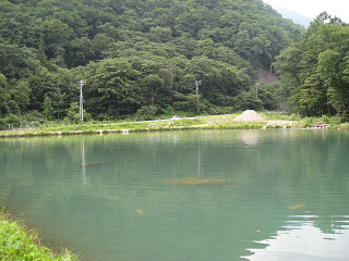 f0065341_13171522.jpg