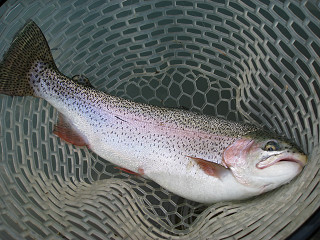 f0065341_13174689.jpg