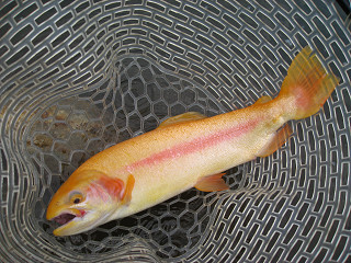 f0065341_131868.jpg