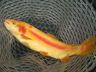 f0065341_135830.jpg