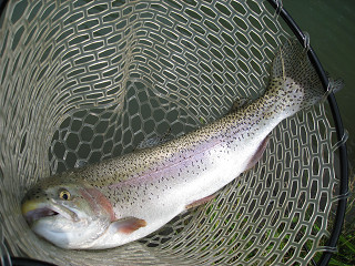 f0065341_1363796.jpg