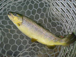 f0065341_139432.jpg