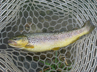 f0065341_139710.jpg