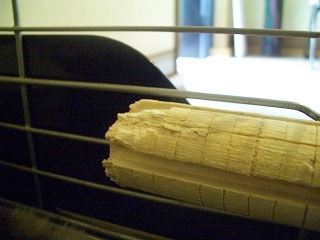 e0172144_13595998.jpg