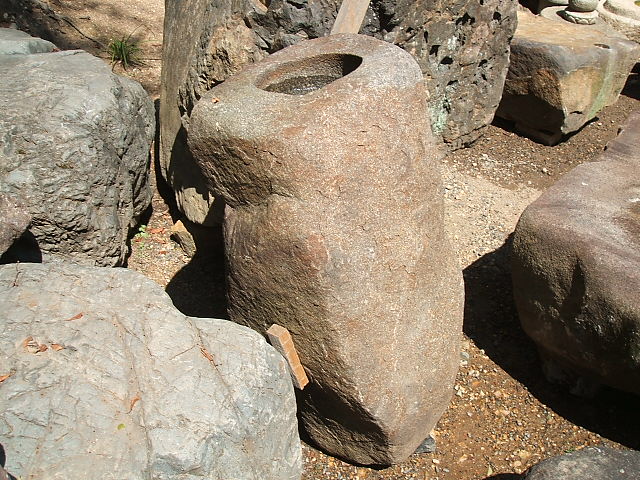 e0126548_1144860.jpg