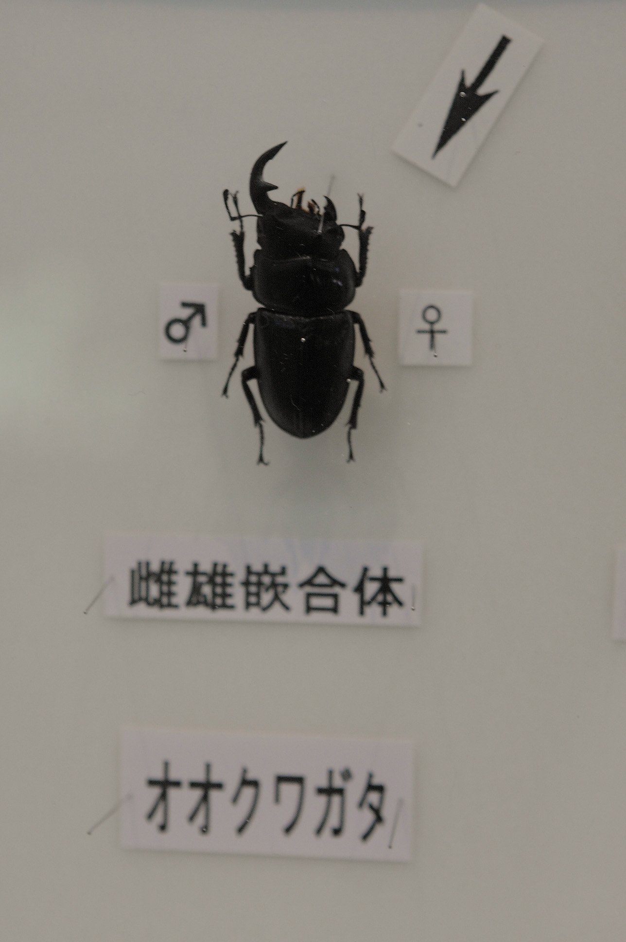 c0198351_5402915.jpg