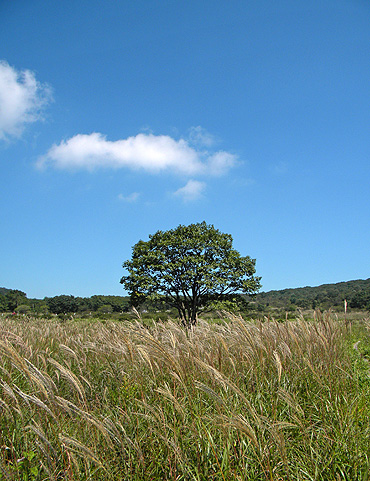 a0001354_19131431.jpg