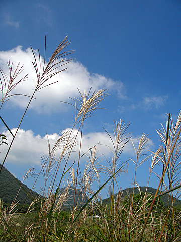 a0001354_1913477.jpg