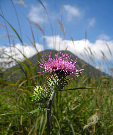 a0001354_19135811.jpg