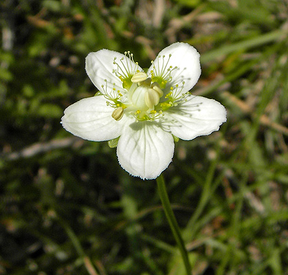 a0001354_191517.jpg