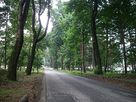 a0056654_14212563.jpg