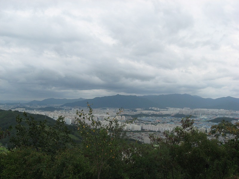 a0129257_982490.jpg
