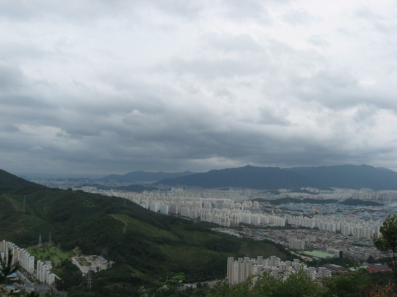 a0129257_983356.jpg