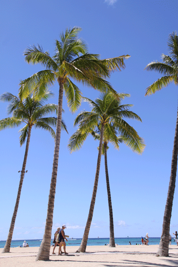 f0107364_855934.gif