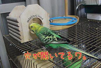f0196665_0532342.jpg